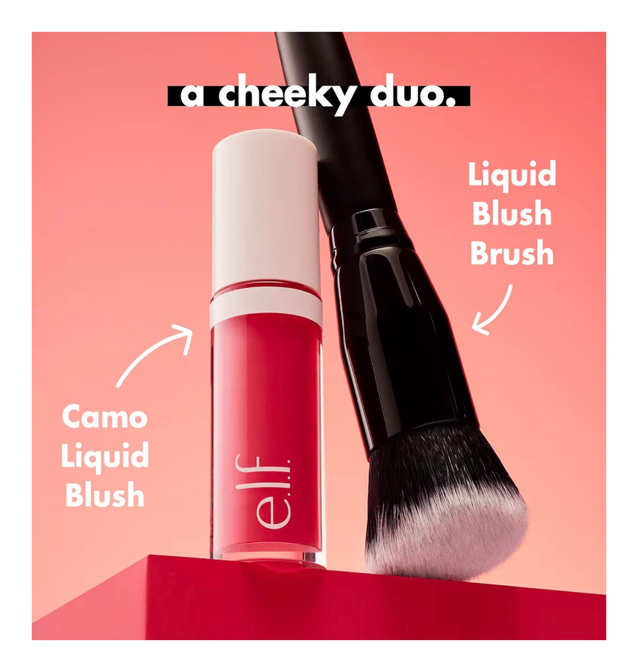 Pinceau - Fond de Teint & Blush